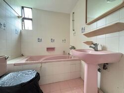 Pandan Valley (D21), Condominium #554764401